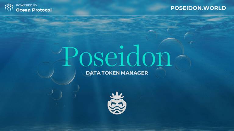 Poseidon - A Data Token Manager
